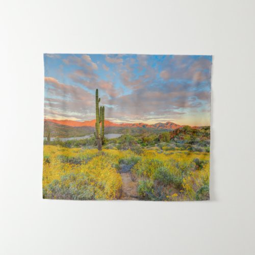 Sunset on Desert Landscape Tapestry