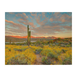 Sunset on Desert Landscape Wood Wall Art