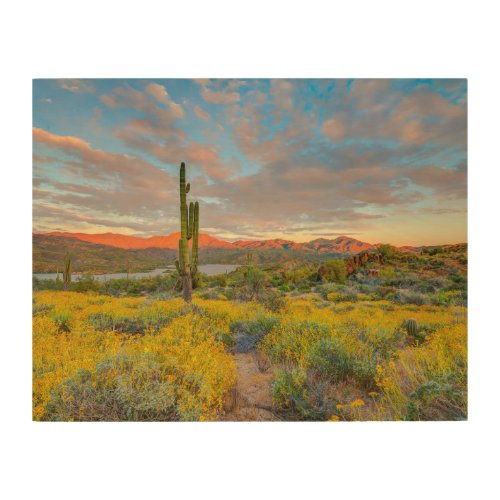 Sunset on Desert Landscape Wood Wall Art