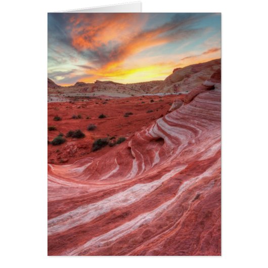 Sunset On Fire Wave Cards (Front)