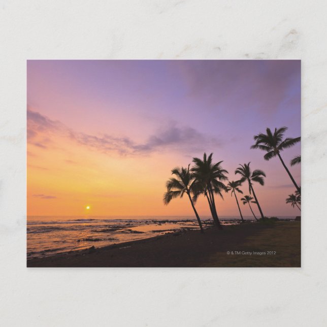 Sunset on Kahaluu Bay in Kona,Hawaii 2 Postcard (Front)