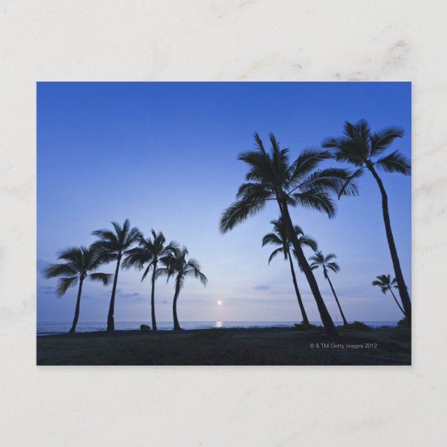 Sunset on Kahaluu Bay in Kona,Hawaii Postcard (Front)