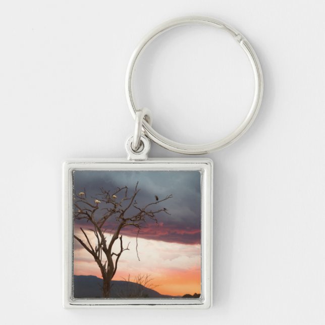Sunset On Kandheri Swamp With African Spoonbills Keychain (Front)
