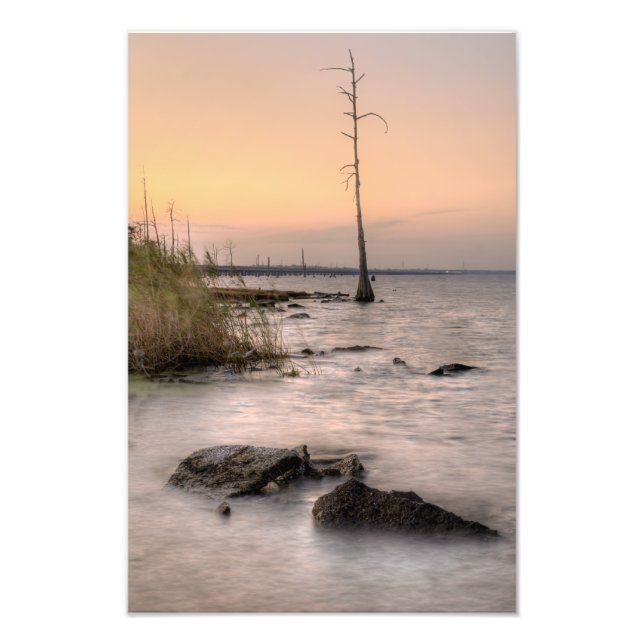 Sunset on Louisiana's Swamps Photo Print (Front)