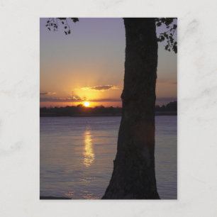 Sunset on Mississippi River Postcard