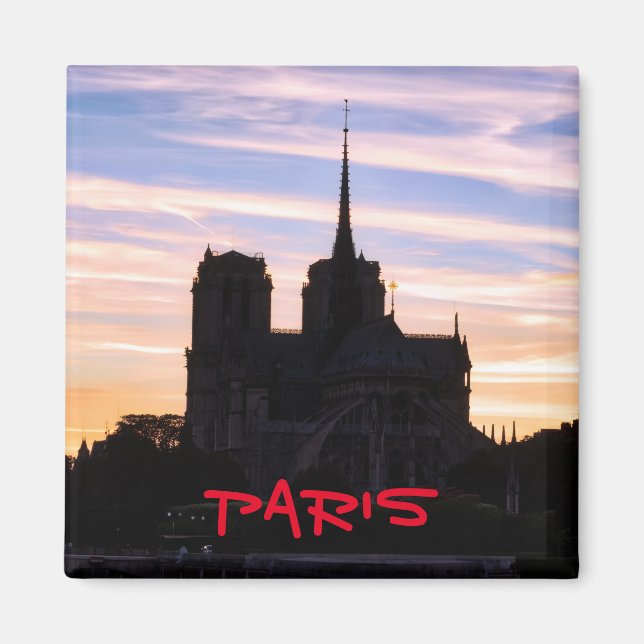 Sunset on Notre Dame de Paris - Paris, France Magnet (Front)
