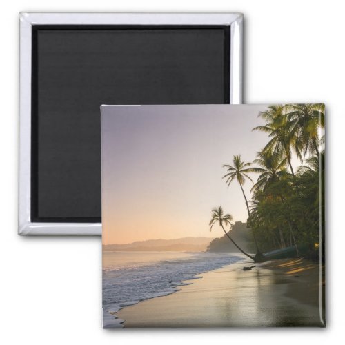 Sunset on Palm Fringed Beach  Costa Rica Magnet