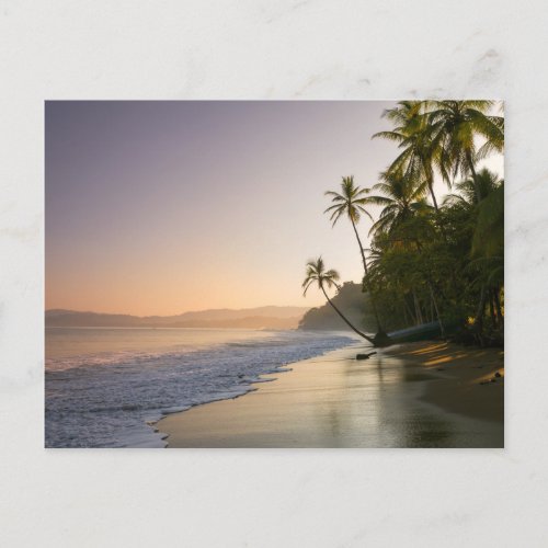 Sunset On Palm Fringed Beach Costa Rica Postcard