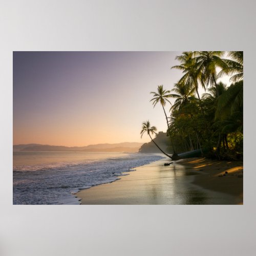 Sunset On Palm Fringed Beach Costa Rica Poster