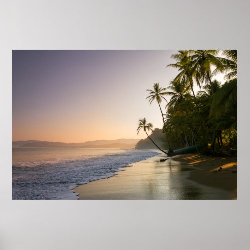 Sunset on Palm Fringed Beach  Costa Rica Poster