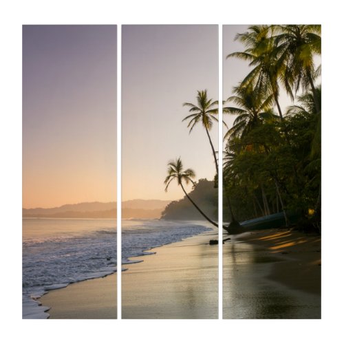 Sunset on Palm Fringed Beach  Costa Rica Triptych