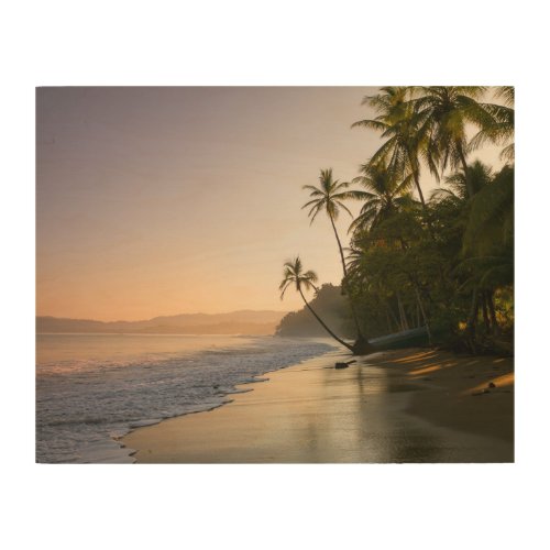 Sunset on Palm Fringed Beach  Costa Rica Wood Wall Art