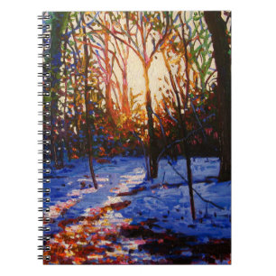 Sunset on snow 2010 notebook