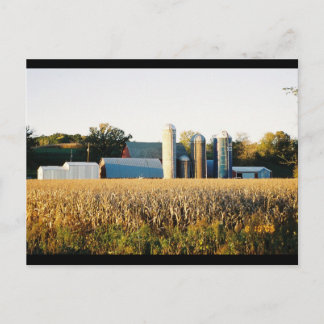 Sunset on the Farm Postcard