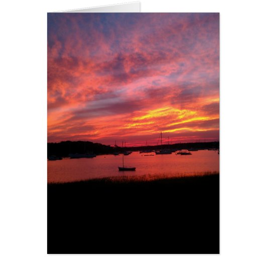 Sunset on the Harbor Cards (Front)