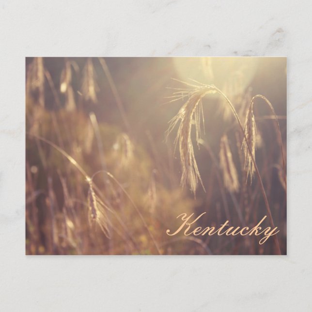 Sunset on the Mountain Postcard (Front)