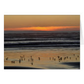 Sunset on the Pacific Ocean (Front Horizontal)