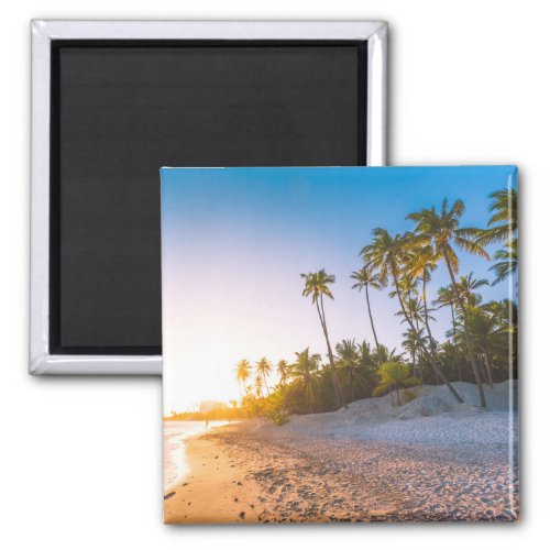 Sunset on Tropical Beach  Dominican Republic Magnet