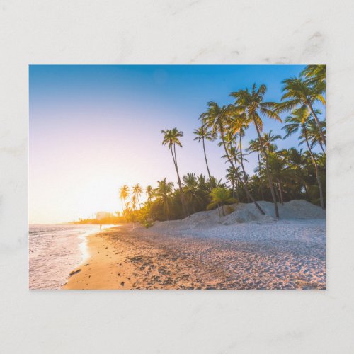 Sunset on Tropical Beach  Dominican Republic Postcard