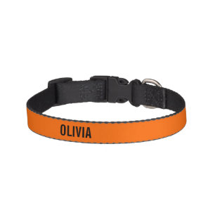 Sunset Orange Modern Name Trendy Minimalist Pet Collar
