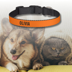 Sunset Orange Modern Name Trendy Minimalist Pet Collar