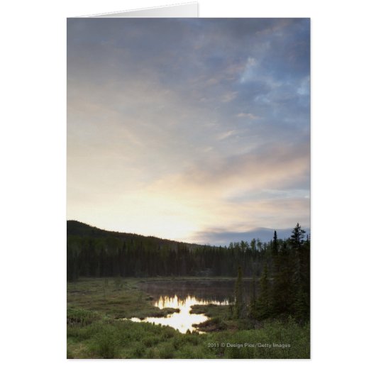 Sunset Over A Misty Pond Cards (Front)