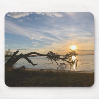 Sunset Over East Bay