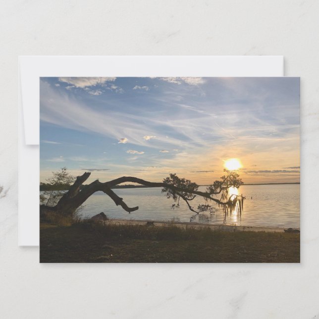 Sunset Over East Bay Note Card (Front)