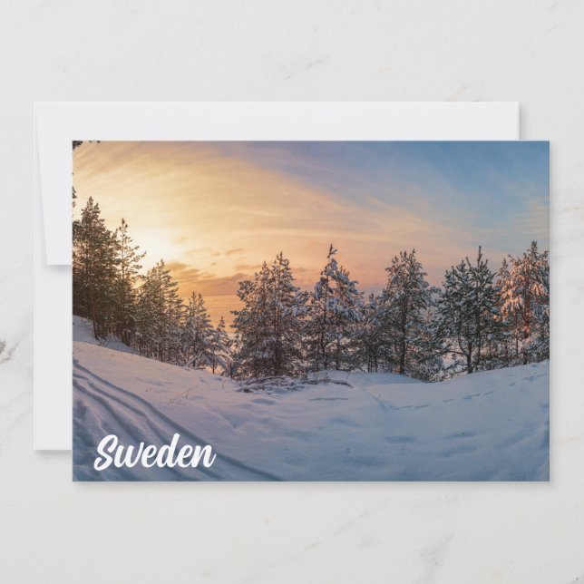 Sunset over frozen snowy forest near sea (Front)