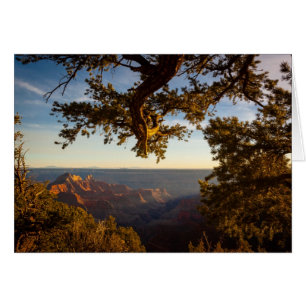 Sunset over Grand Canyon Cards