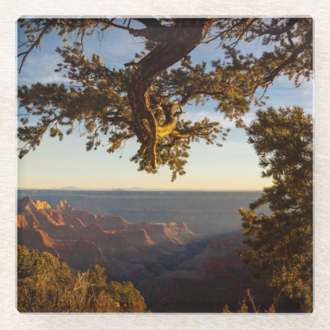 Sunset over Grand Canyon Glass Coaster (Front)