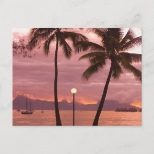 Sunset over Moorea from Sofitel Maeva Beach Postcard