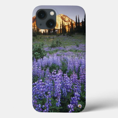 Sunset over Mt Adams and a sub_alpine meadow iPhone 13 Case