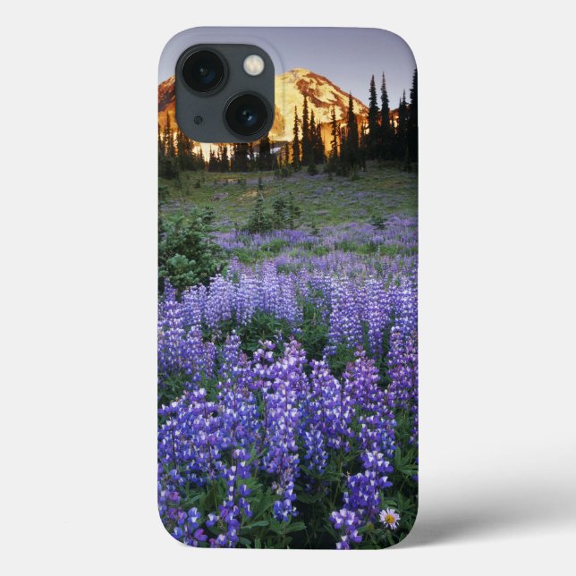 Sunset over Mt. Adams and a sub-alpine meadow Case-Mate iPhone Case (Back)
