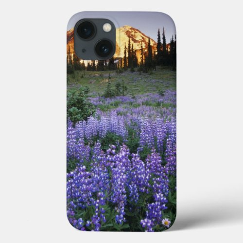 Sunset over Mt Adams and a sub_alpine meadow iPhone 13 Case