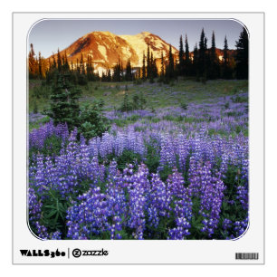 Sunset over Mt. Adams and a sub-alpine meadow Wall Decal