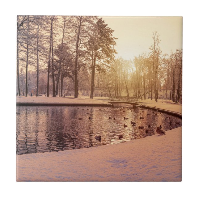 Sunset over park with small frosty lake ceramic tile (Front)