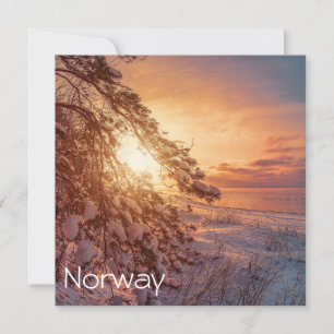 Sunset over sea and snowy pine tree