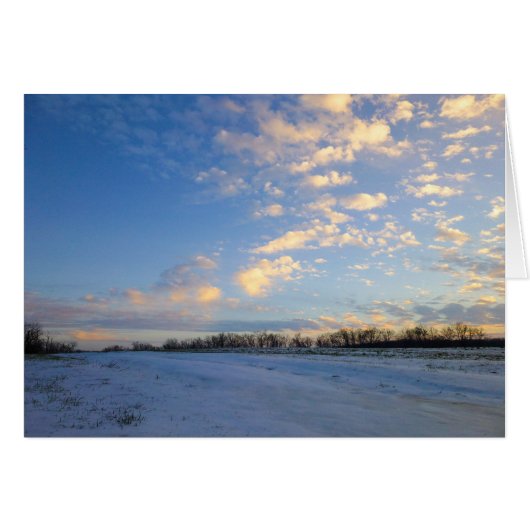 Sunset over Snowy Field Cards (Front Horizontal)