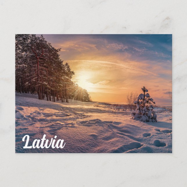 Sunset over snowy winter sea coast postcard (Front)