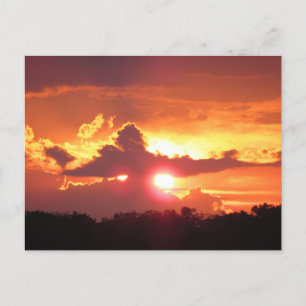 Sunset over St. Augustine, Florida Holiday Postcard