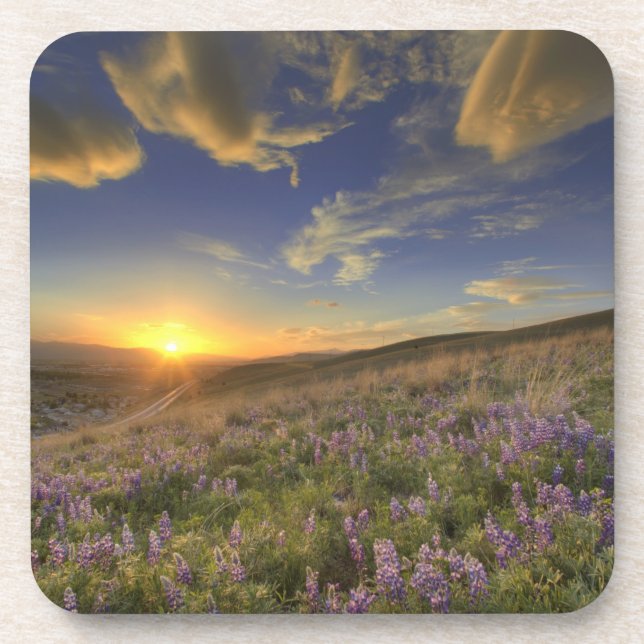 Sunset over the Bitterroot Mountains and vast Beverage Coaster (Front)