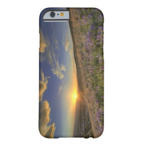 Sunset over the Bitterroot Mountains and vast Barely There iPhone 6 Case