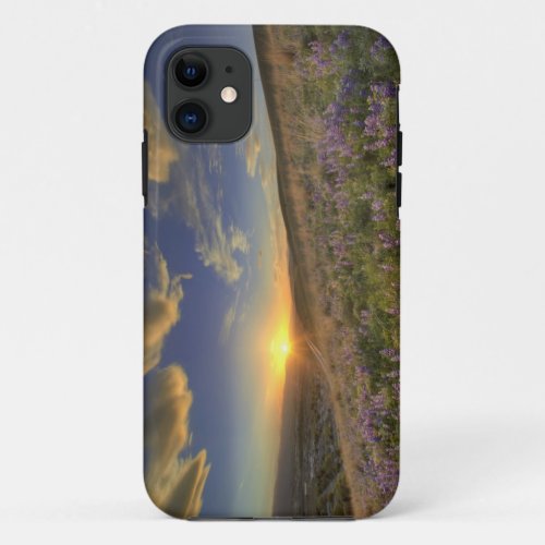 Sunset over the Bitterroot Mountains and vast iPhone 11 Case