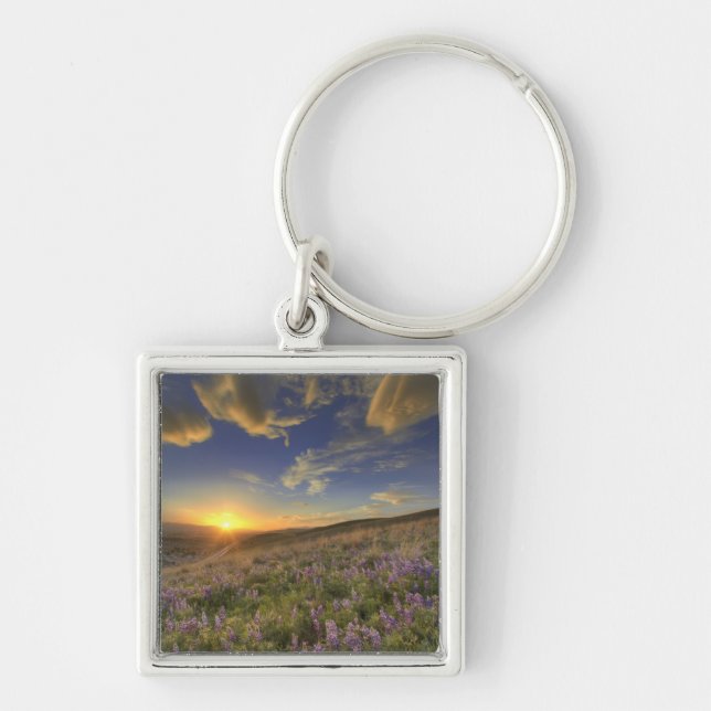 Sunset over the Bitterroot Mountains and vast Keychain (Front)