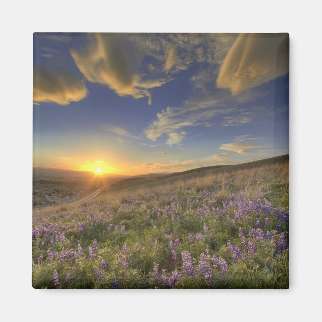 Sunset over the Bitterroot Mountains and vast Magnet (Front)