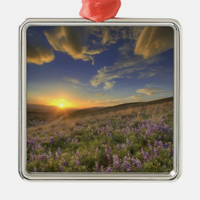 Sunset over the Bitterroot Mountains and vast Metal Ornament (Front)