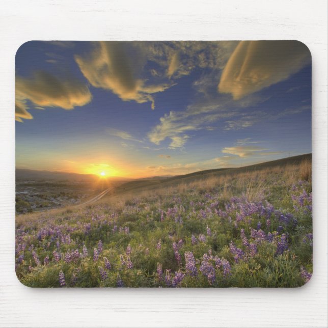 Sunset over the Bitterroot Mountains and vast Mouse Pad (Front)