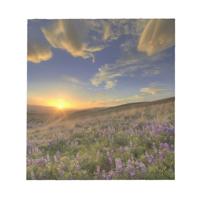 Sunset over the Bitterroot Mountains and vast Notepad (Front)