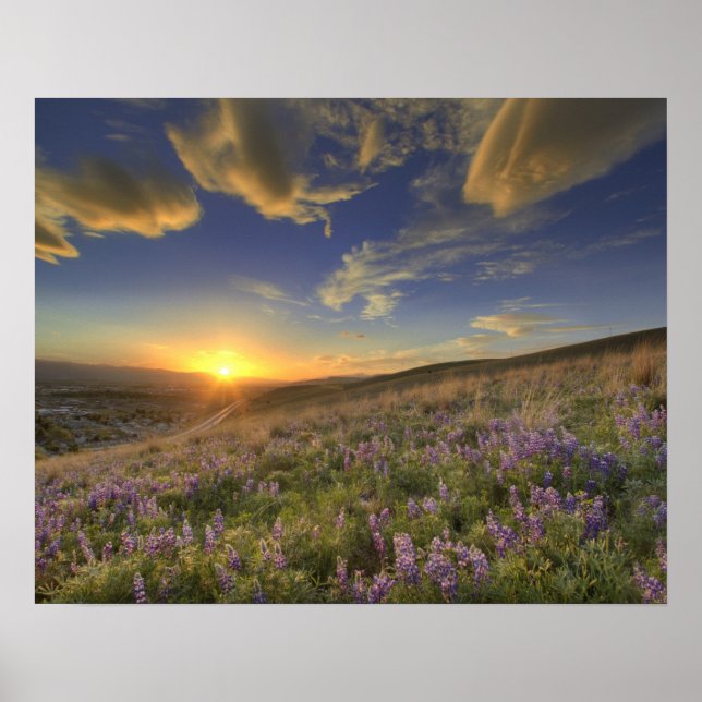 Sunset over the Bitterroot Mountains and vast Poster (Front)